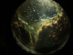 -珠海长隆海洋王国