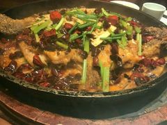 老板恋上鱼-老板恋上鱼(荣盛广场店)