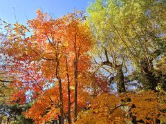 -长春市南湖公园