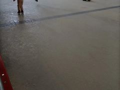 -冰纷万象滑冰场(二七万象城店)