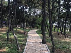 -老虎石海上公园