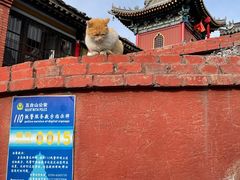 -五台山风景名胜区