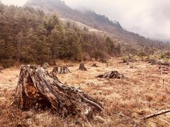 -硗碛藏寨·神木垒景区