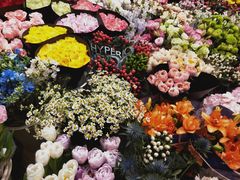 -双季花艺园艺市场(浦东店)