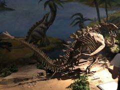 -自贡恐龙博物馆