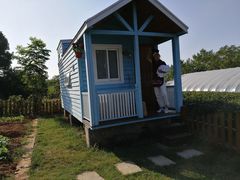 -龙湖东院农庄(乡间小路店)