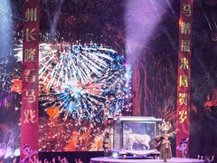-广州长隆国际大马戏