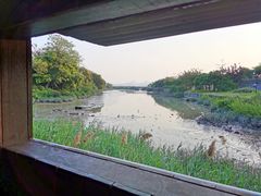 -福田红树林生态公园