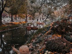 -上海共青森林公园