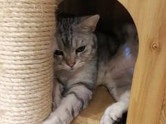 -小时光咖啡馆(开森度假森林店)
