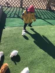 -萌宠亲子动物乐园(槐房万达店)