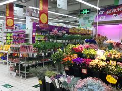 -大润发(张江店)