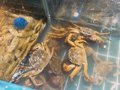 -九月海·海鲜自助(世纪东方店)