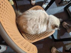 -剧狐剧本杀·月球探案馆(人民广场1号店)