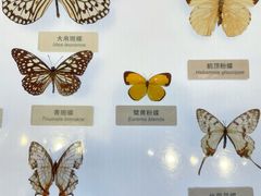 -中国湿地博物馆
