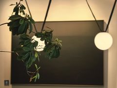 -溯洄咖啡VORTEX COFFEE