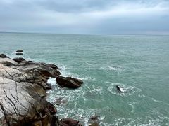 -广东惠东海龟国家级自然保护区