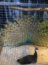 -酷嗒动物文化乐园(cutezoo西溪乐天城店)