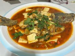 -煲来饱去冷水鱼