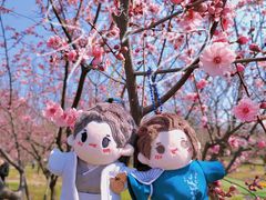-香雪海