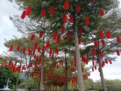 -深圳湾公园(南山区)