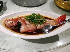 清蒸东星斑-花溪雨·森林餐厅(石基店)