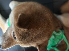 -簋街