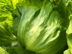 -万源龙顺度假庄园生态观光园