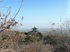 -北京西山国家森林公园