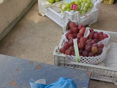 -马陆小张葡萄园农家乐