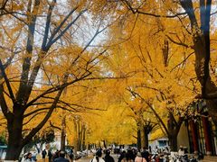 -四川大学华西第四医院