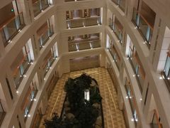 -成都新东方千禧大酒店-琥珀西餐厅