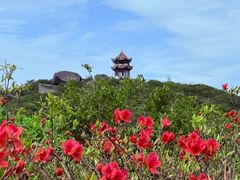 -大围山国家森林公园