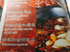 -雲蜀龙阁·金牌水煮鱼(方庄店)