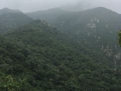 -北京鹫峰国家森林公园