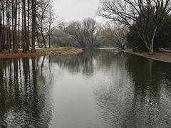 -上海共青森林公园