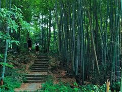 -金鸡山公园