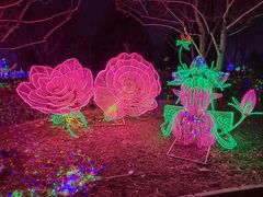 -南宫五洲植物乐园