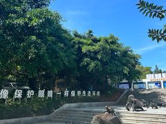 -广东惠东海龟国家级自然保护区