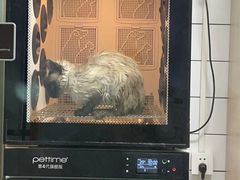 -老吴的猫·猫舍(新区店)