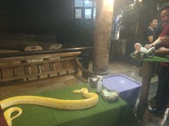 -清迈夜间动物园