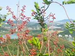 -南北湖风景区