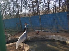 -廊坊市自然公园