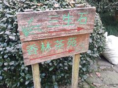 -杭州西湖风景名胜区-三生石