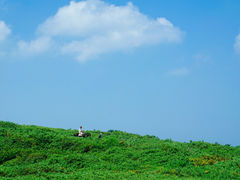 -涉地可支