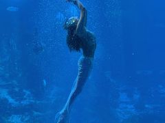 -太平洋海底世界