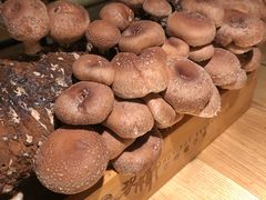 -大头椰·椰子鸡火锅(南宁万象城店)