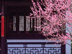 -艺圃