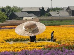 -江苏三台山国家森林公园