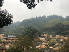 -杨家堂村